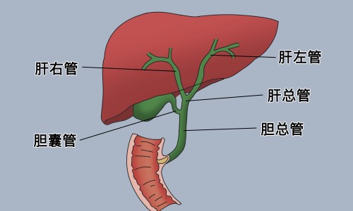 做胆结石手术需要检查哪些项目-胆结石手术检查什么症状网—知名的胆结石手术检查什么症状可以做网站,分享胆结石手术前需要做哪些检查知识